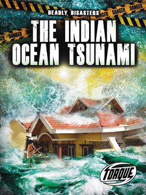 cover image of The Indian Ocean Tsunami
